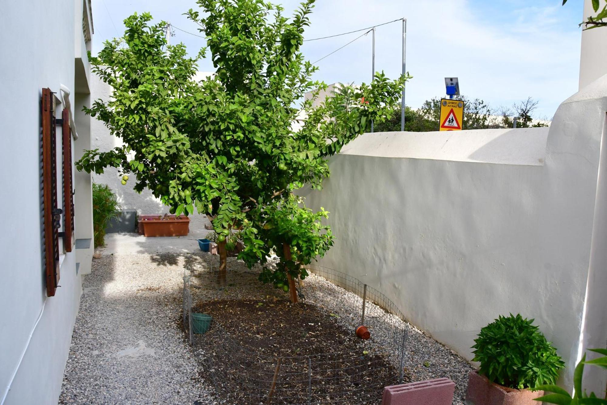 Αρχοντικό Σπίτι Στην Αίγινα Apartment Ngoại thất bức ảnh